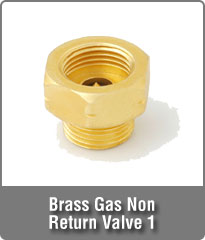Brass Gas Non Return Valve 1