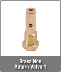 Brass Non Return Valve 1