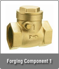 Forging Component 1