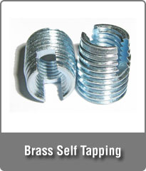 Brass Self Tapping